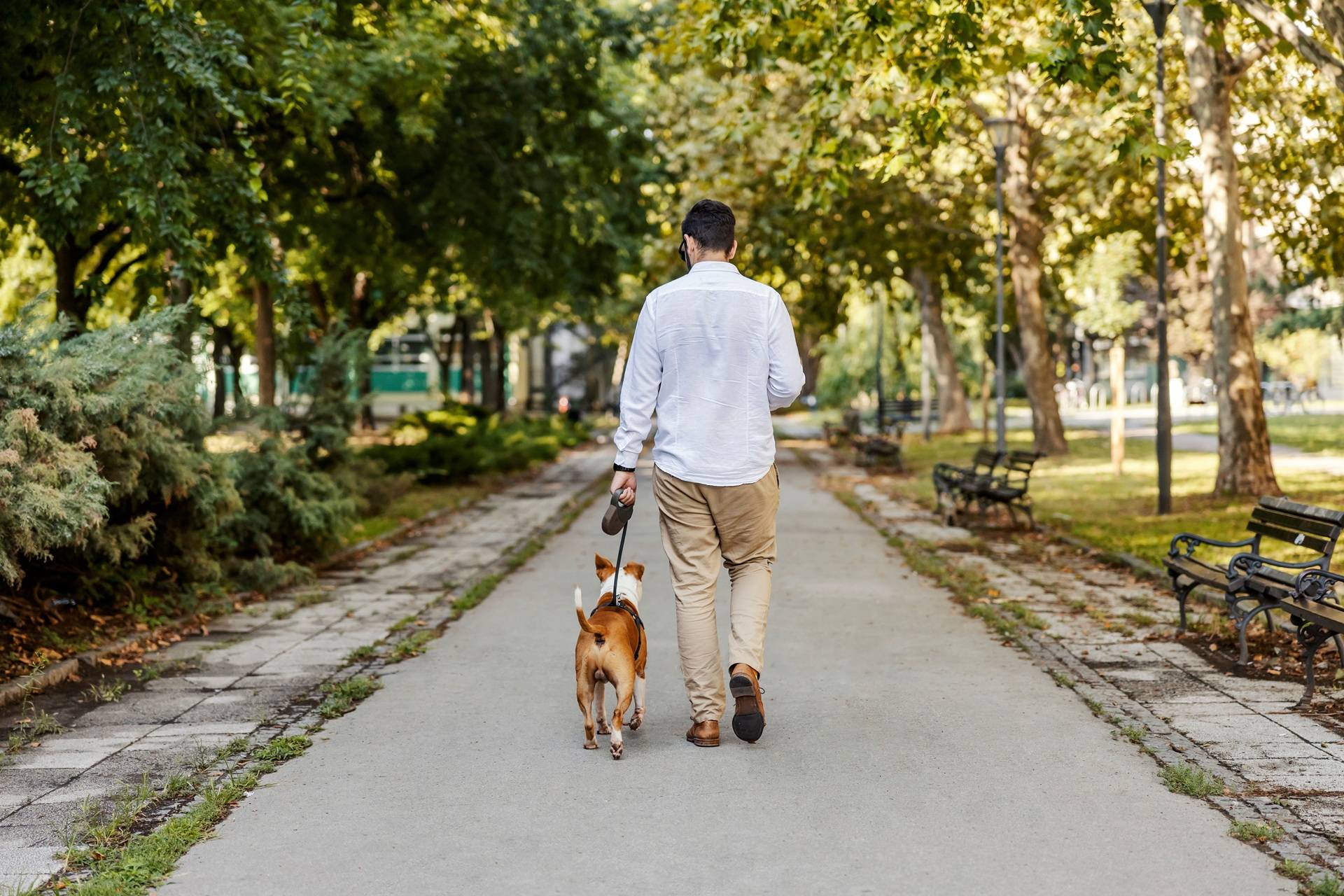 Mann spaziert mit Hund im Park, Defu Hundefutter